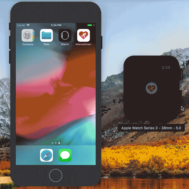 iPhone and Apple Watch Simulation of Health Data Authorization